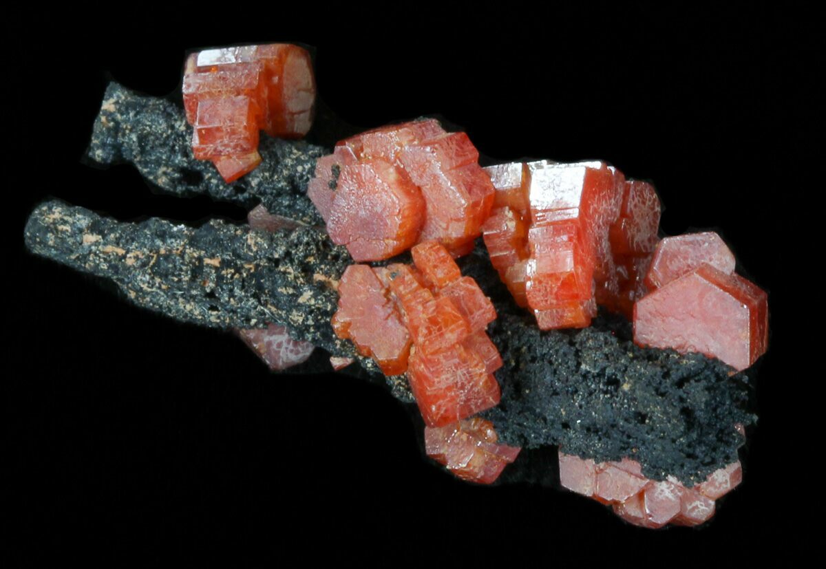 1.1" Red Vanadinite Crystals on Manganese Oxide Morocco For Sale