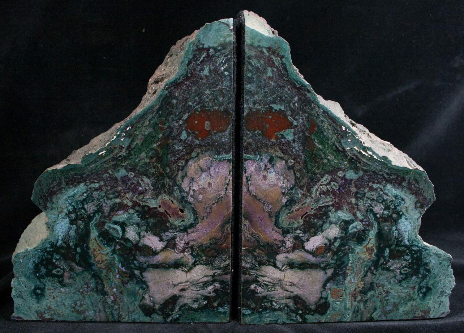 Brilliant Green Hampton Butte Petrified Wood Bookends For Sale (7621