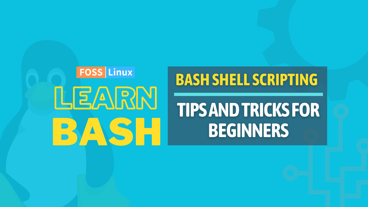 Bash Shell Scripting 10 MustKnow Tips for Beginners