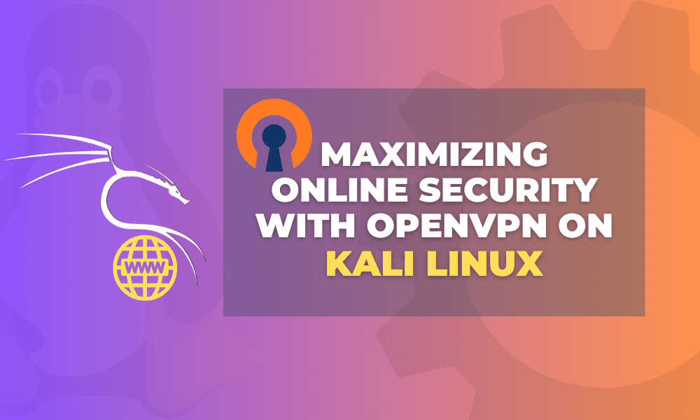 Online Privacy Mastery Setting Up openVPN on Kali Linux