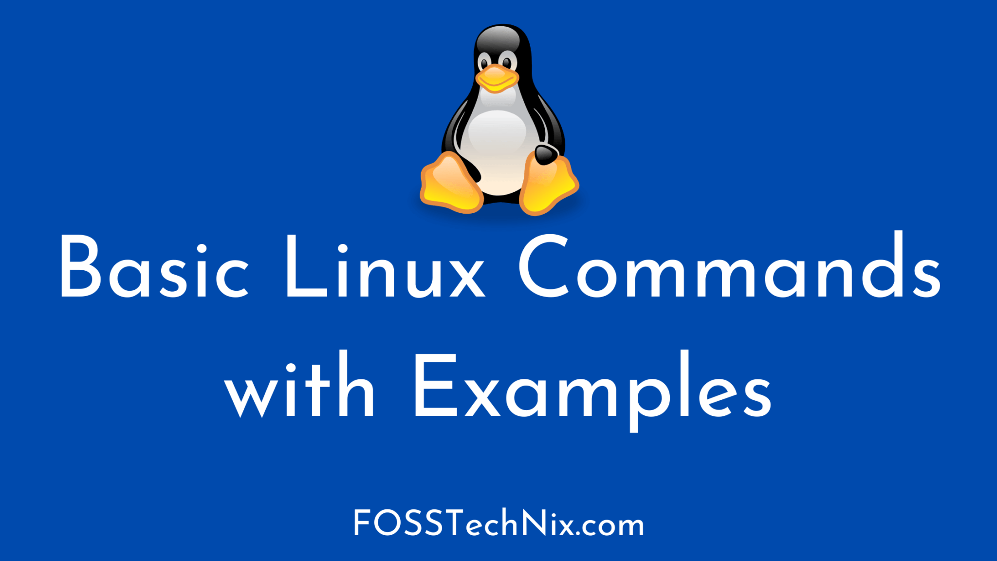 30 Basic Linux Commands with Examples