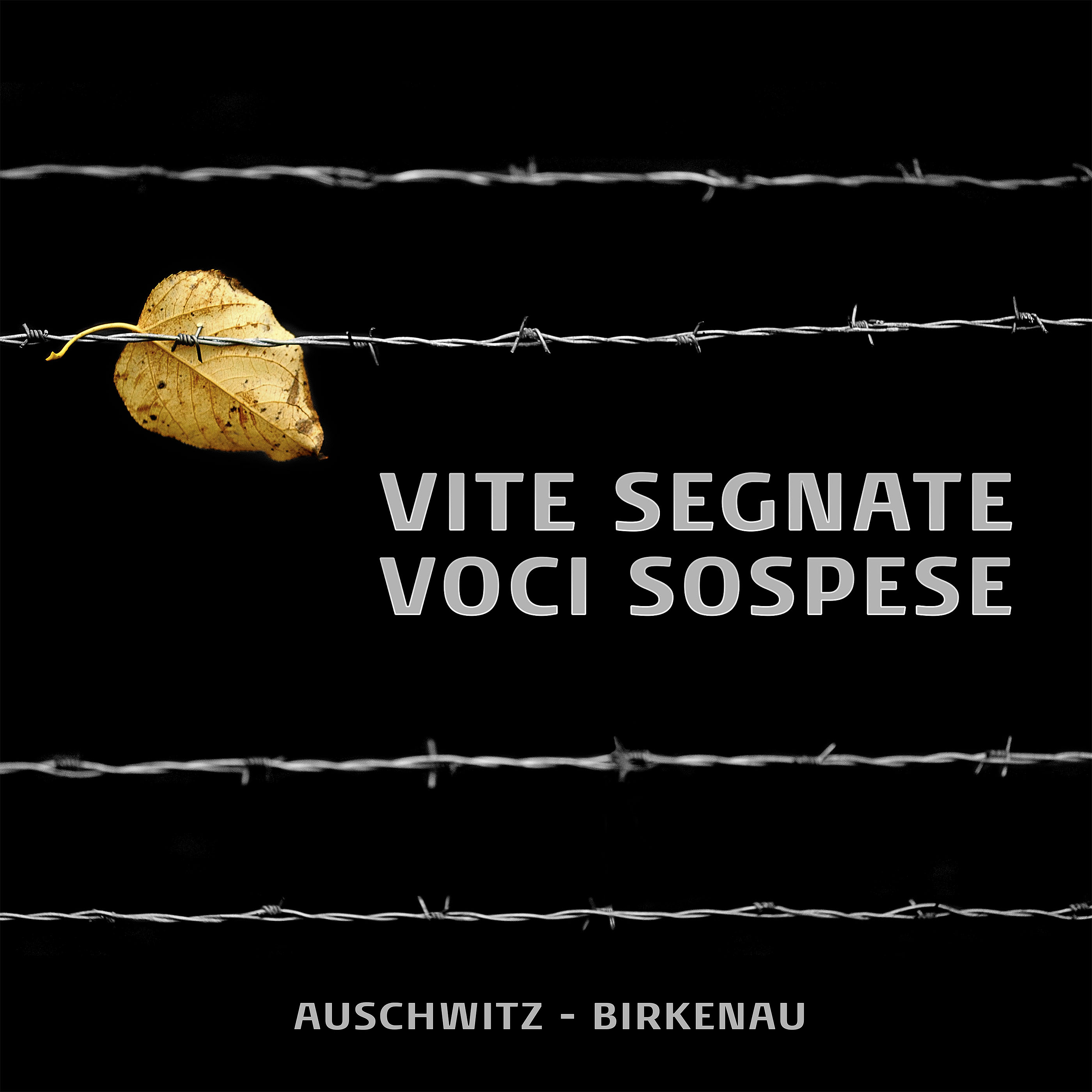 Vite sospese (Italian Edition) Kindle Edition amazon.ca