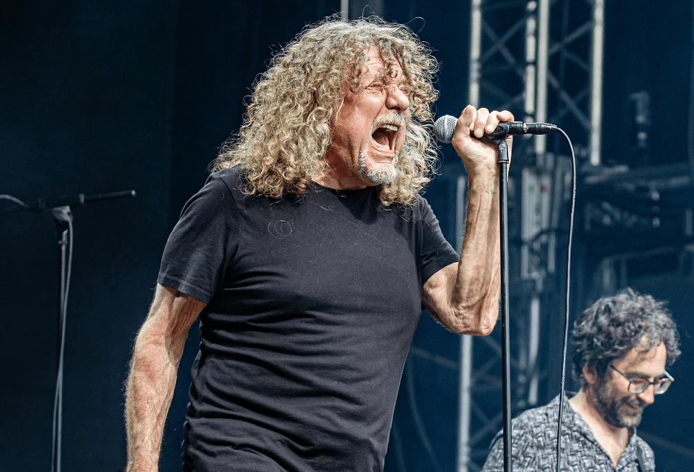 How Much Is Robert Plant Worth Plant Ideas