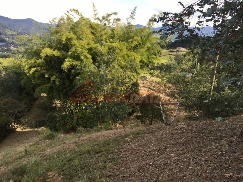 Lotes a la venta en Vereda Santa Teresa Empresas dedicadas al sector