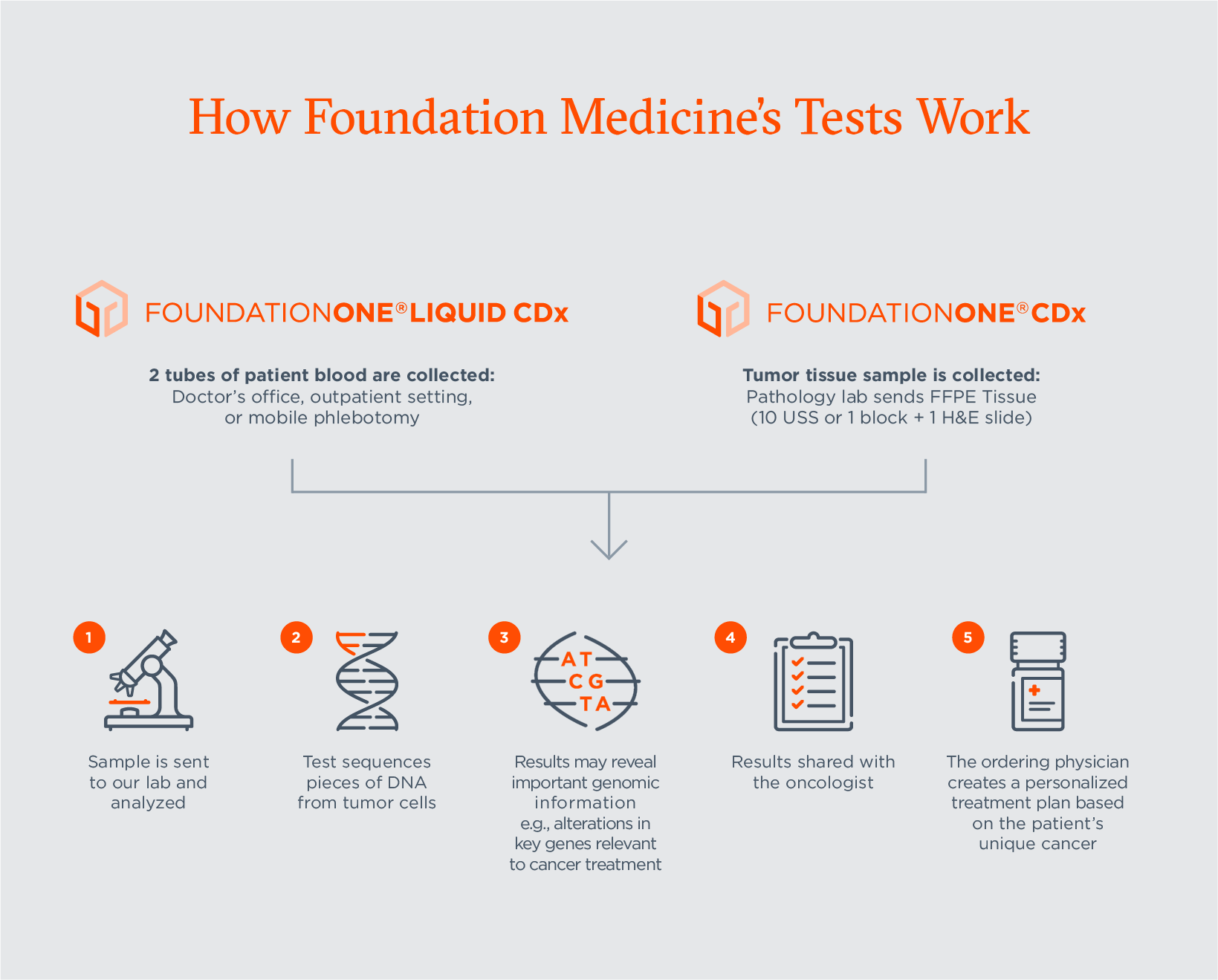 Companion Diagnostics Explained Their Critical Role in Cancer Care and