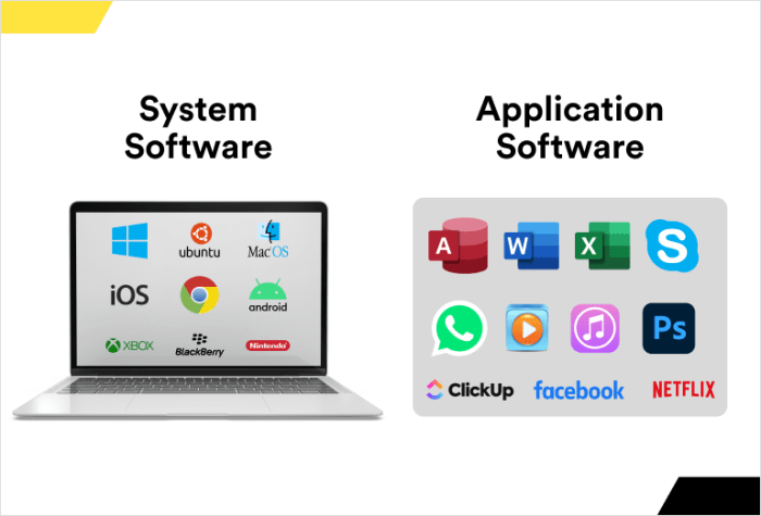 What software do web designers use explained