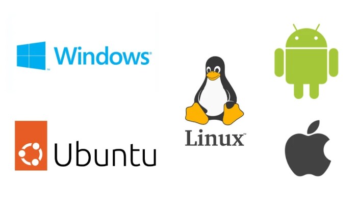 Types Of Operating System Software Types Of Operating System Software