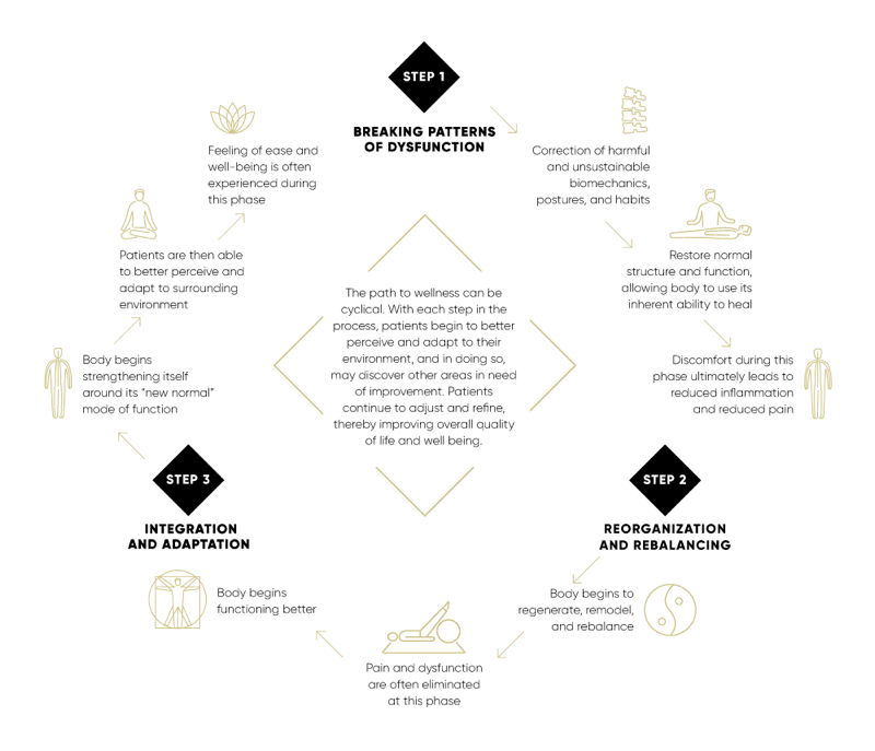 infographichealingprocess The Foundry