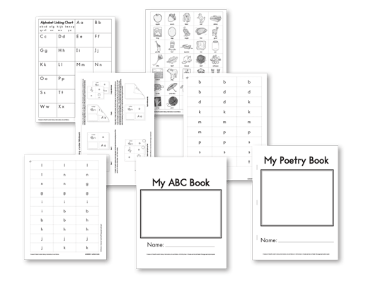 language! a literacy intervention curriculum