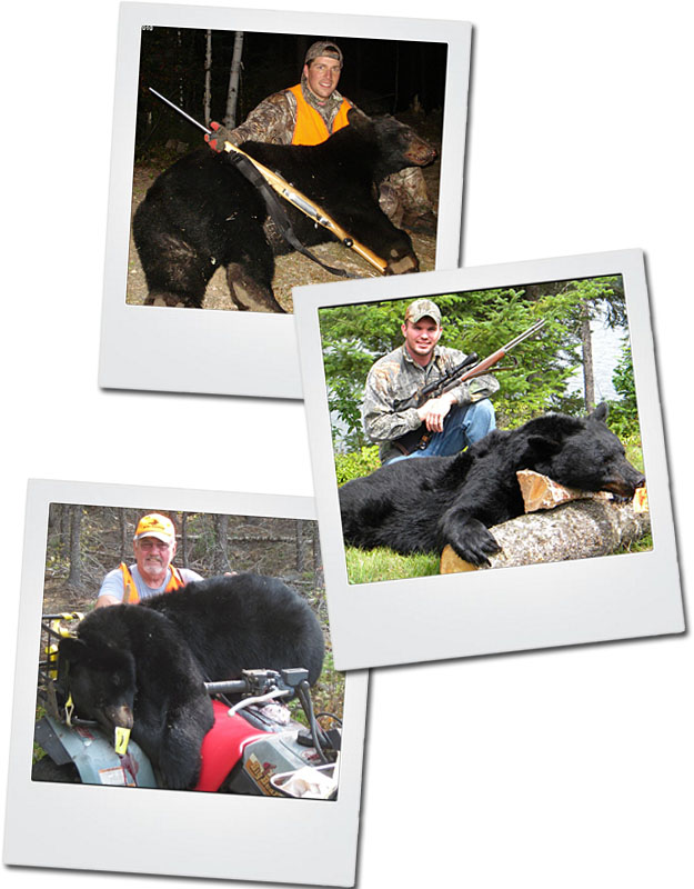 Hunting Black Bear Chapleau Ontario
