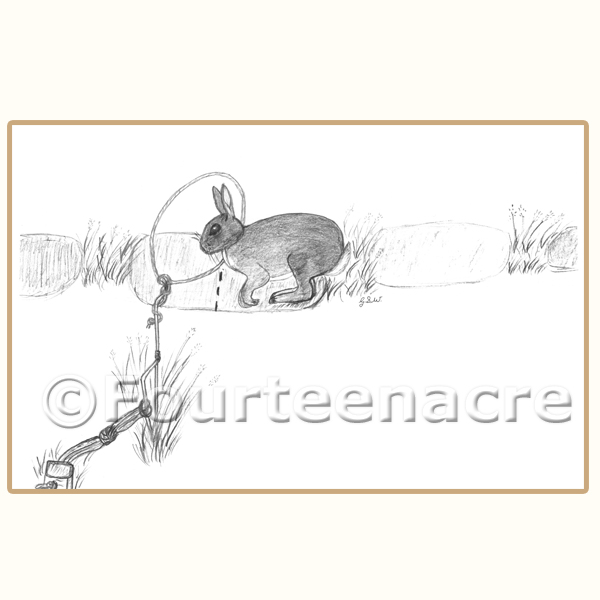 Fourteenacre Professional Rabbit Snaring by Glenn Waters