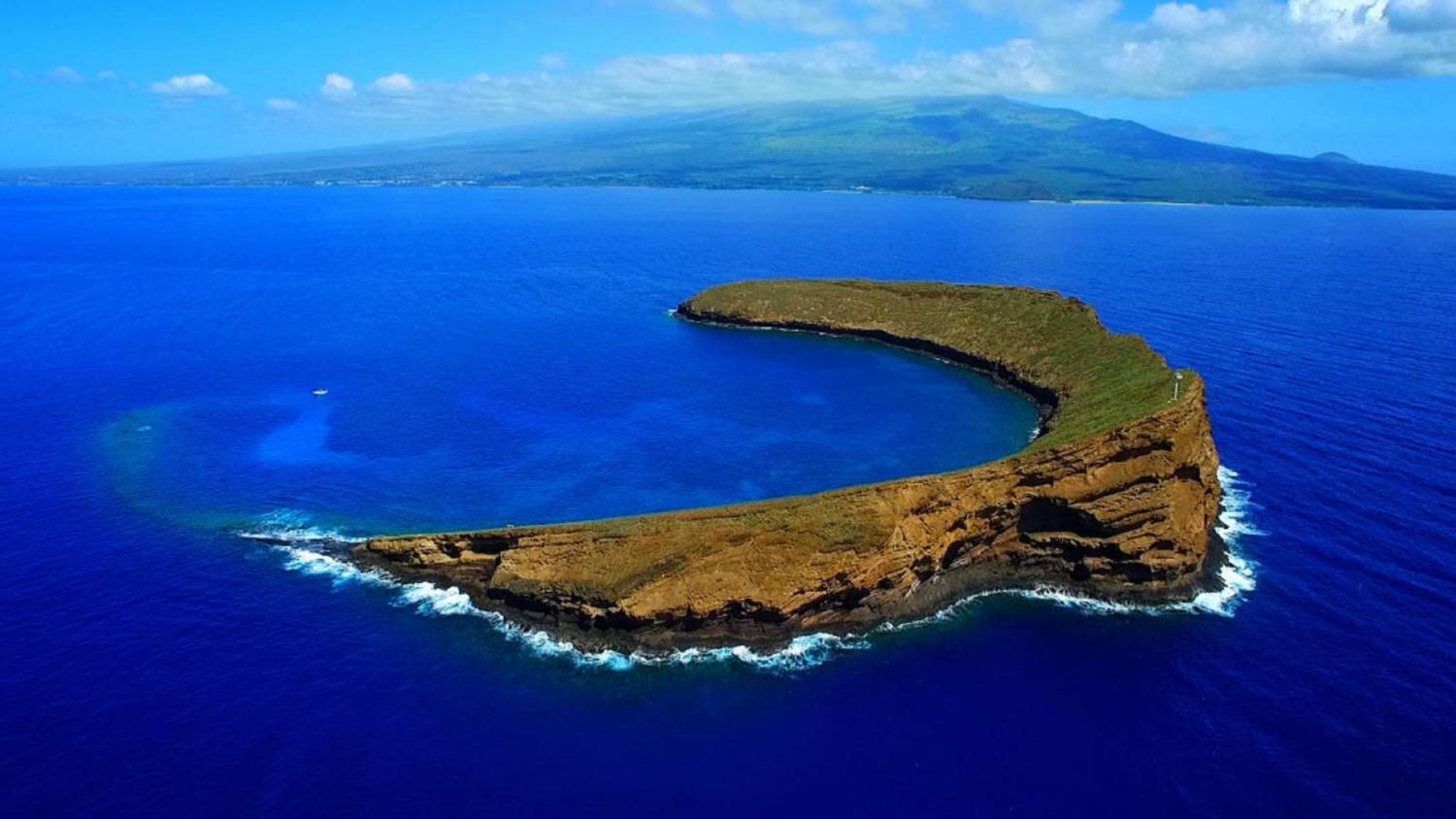 SNORKEL MOLOKINI CRATER ON THE FOUR WINDS Four Winds Maui Snorkeling