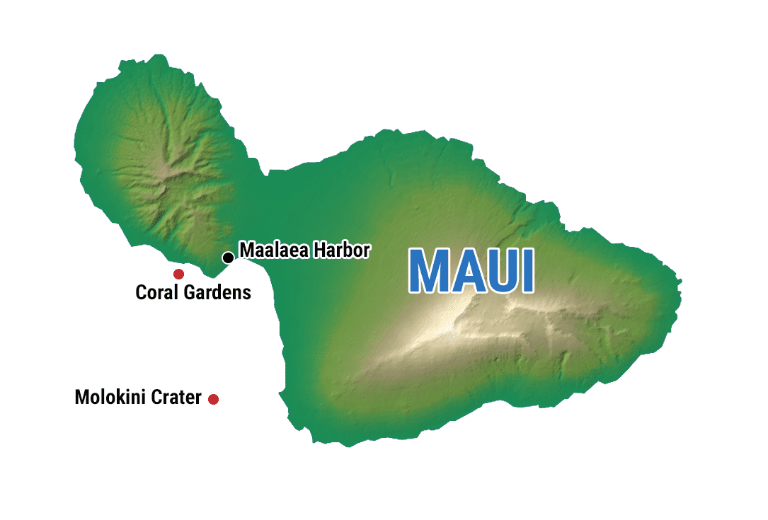 Maui Snorkeling Molokini Crater & Turtle Gardens