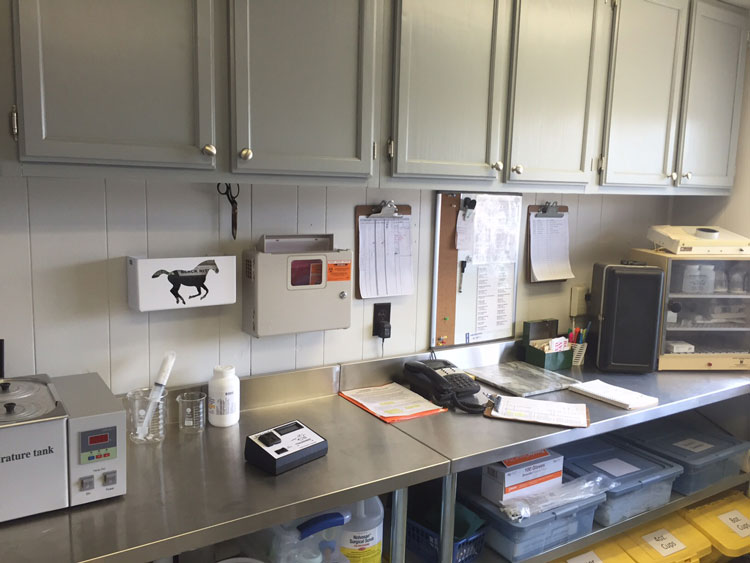 Services Fox Den Farm