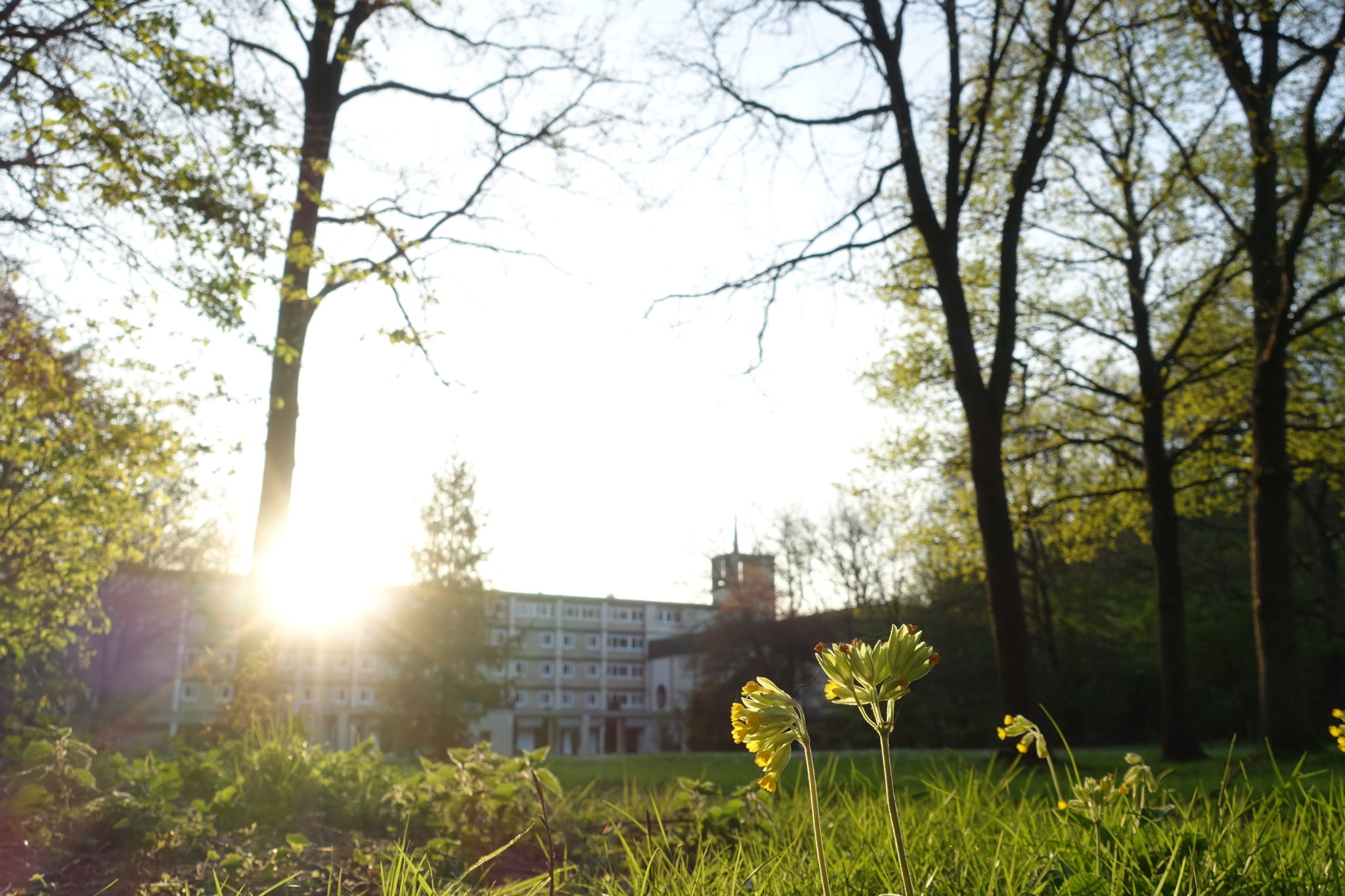 Foyer de Charité La Part Dieu Poissy Foyers de Charité Foyer de