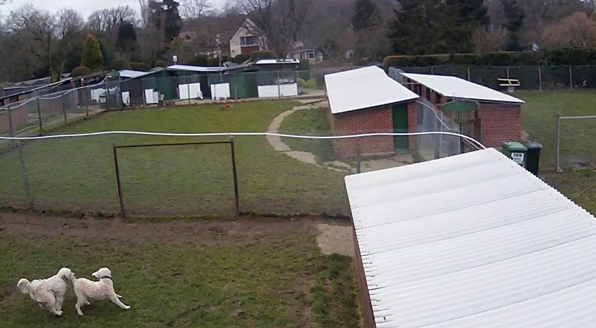 Frensham Pond Kennels Frensham Pond Kennels