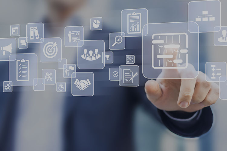 Falcon Property Management Services Prestige Group