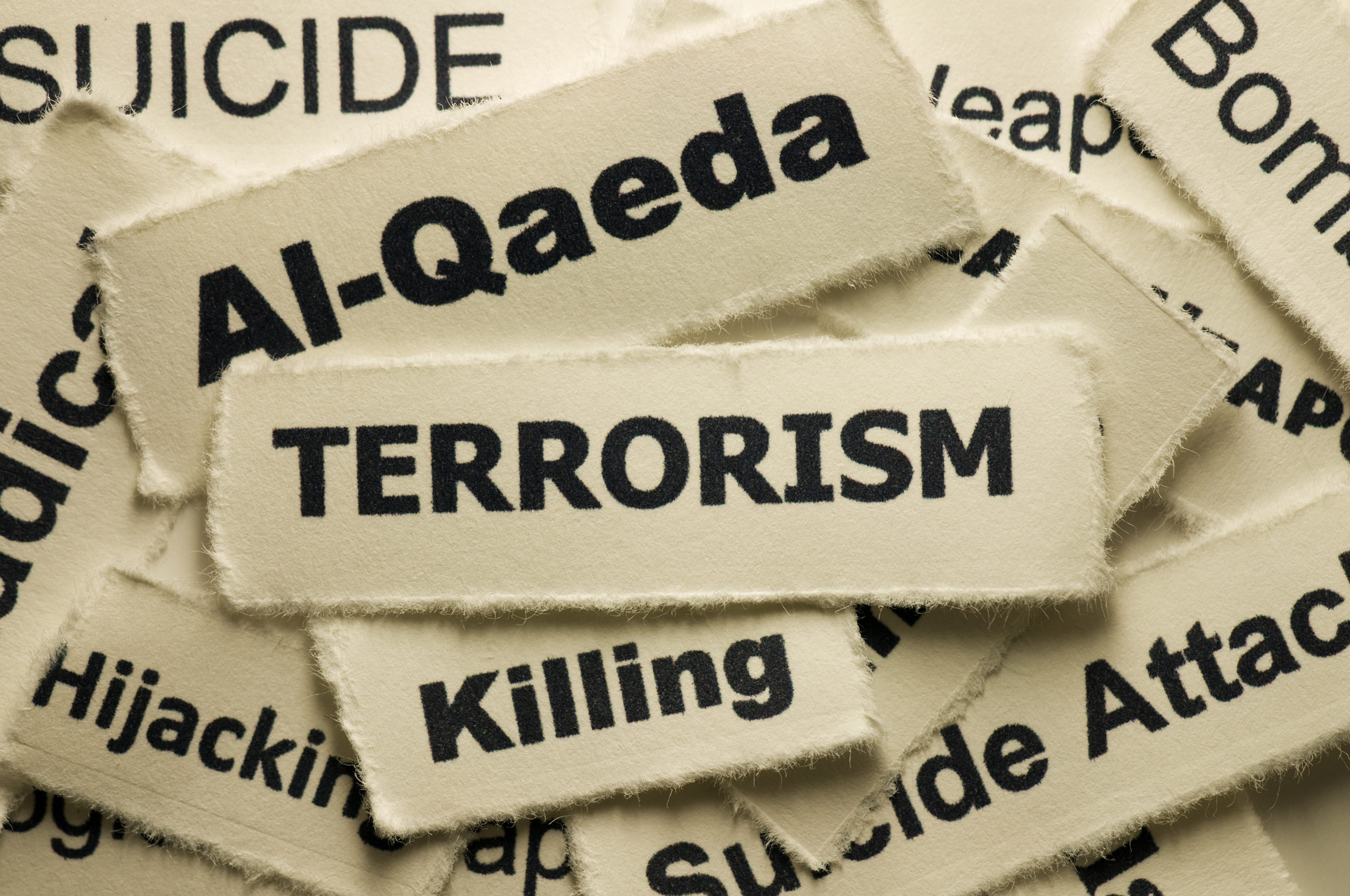 How Terrorist Groups Learn Implications for alQaeda Foreign Policy