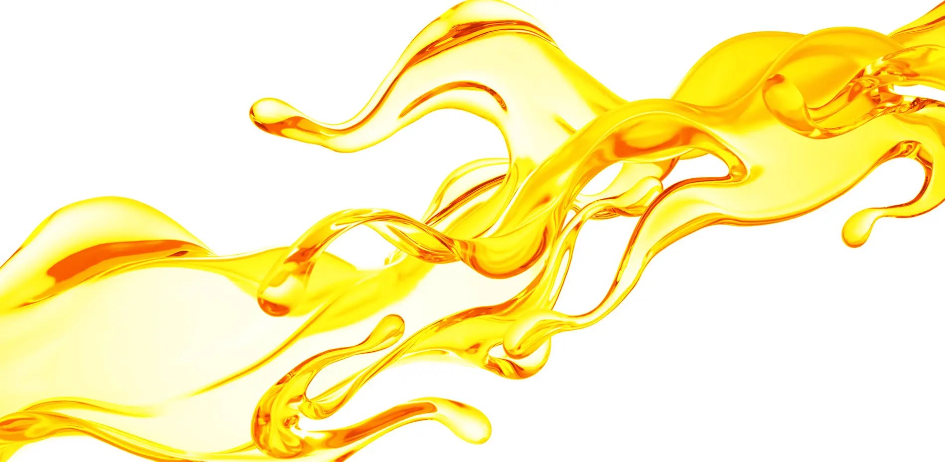 FQS Fuel Quality Services, Inc.