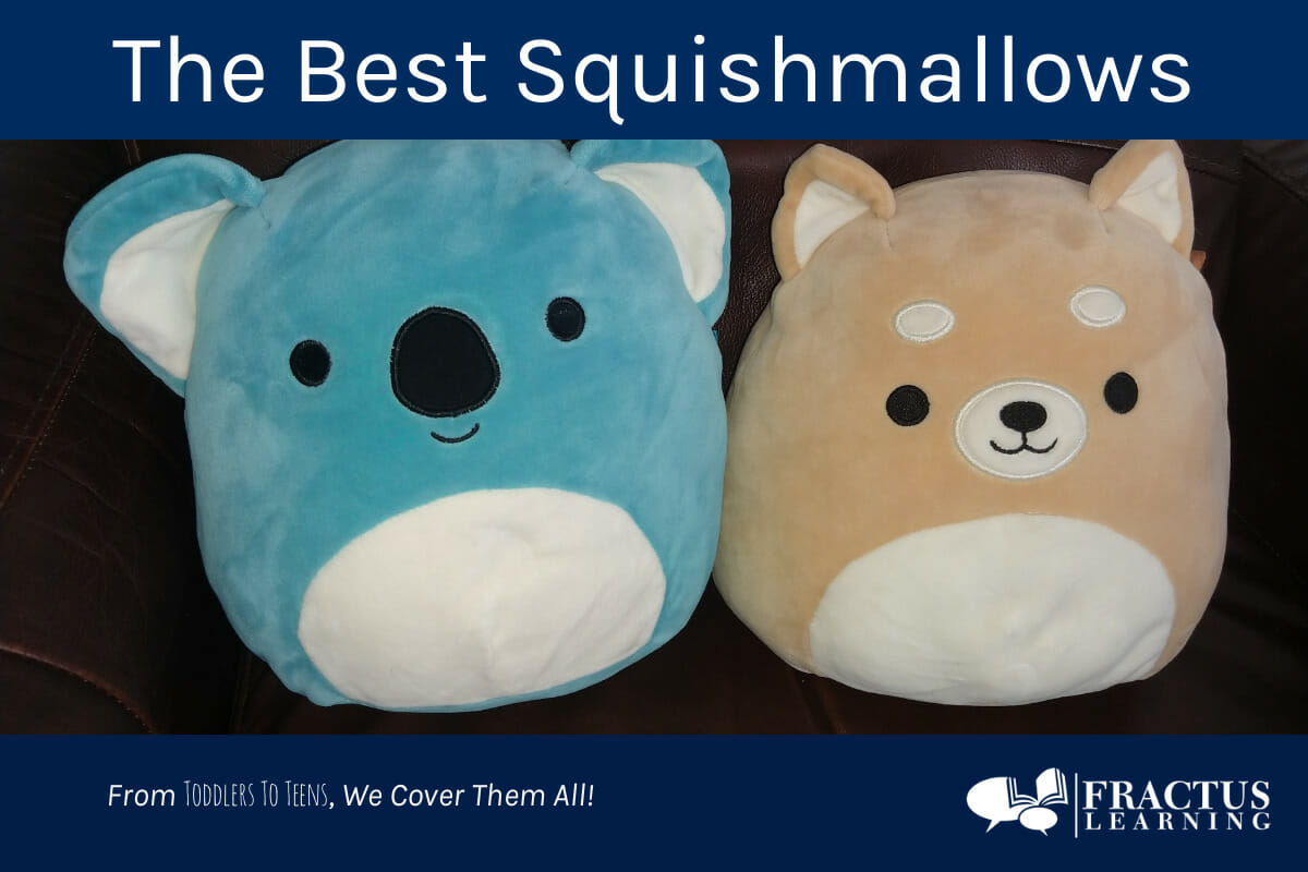 The Best Squishmallow Plush Toys For Gifts or Yourself Fractus Learning