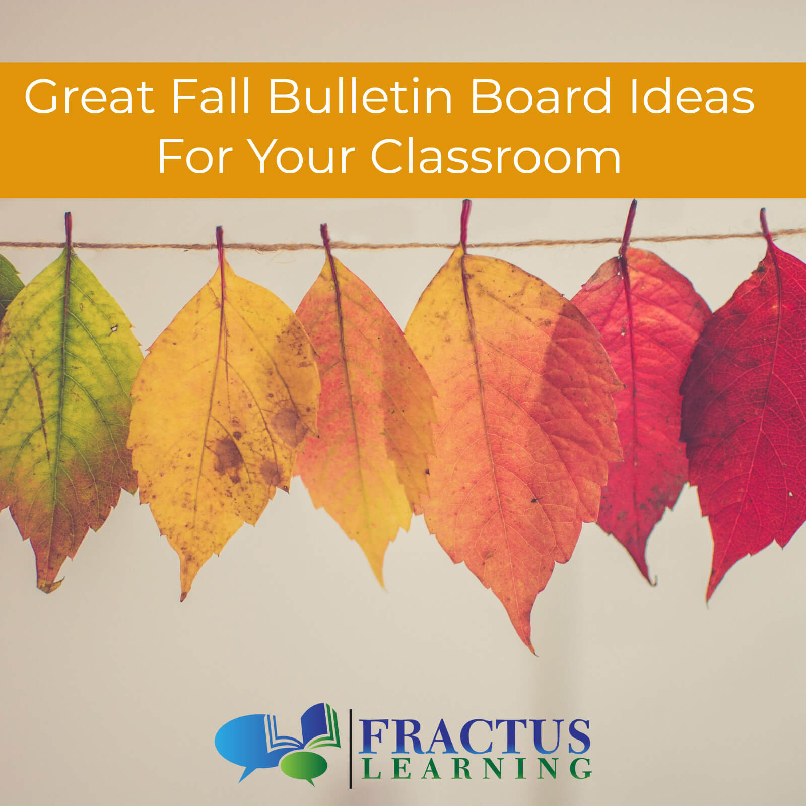 Fall Bulletin Board Ideas
