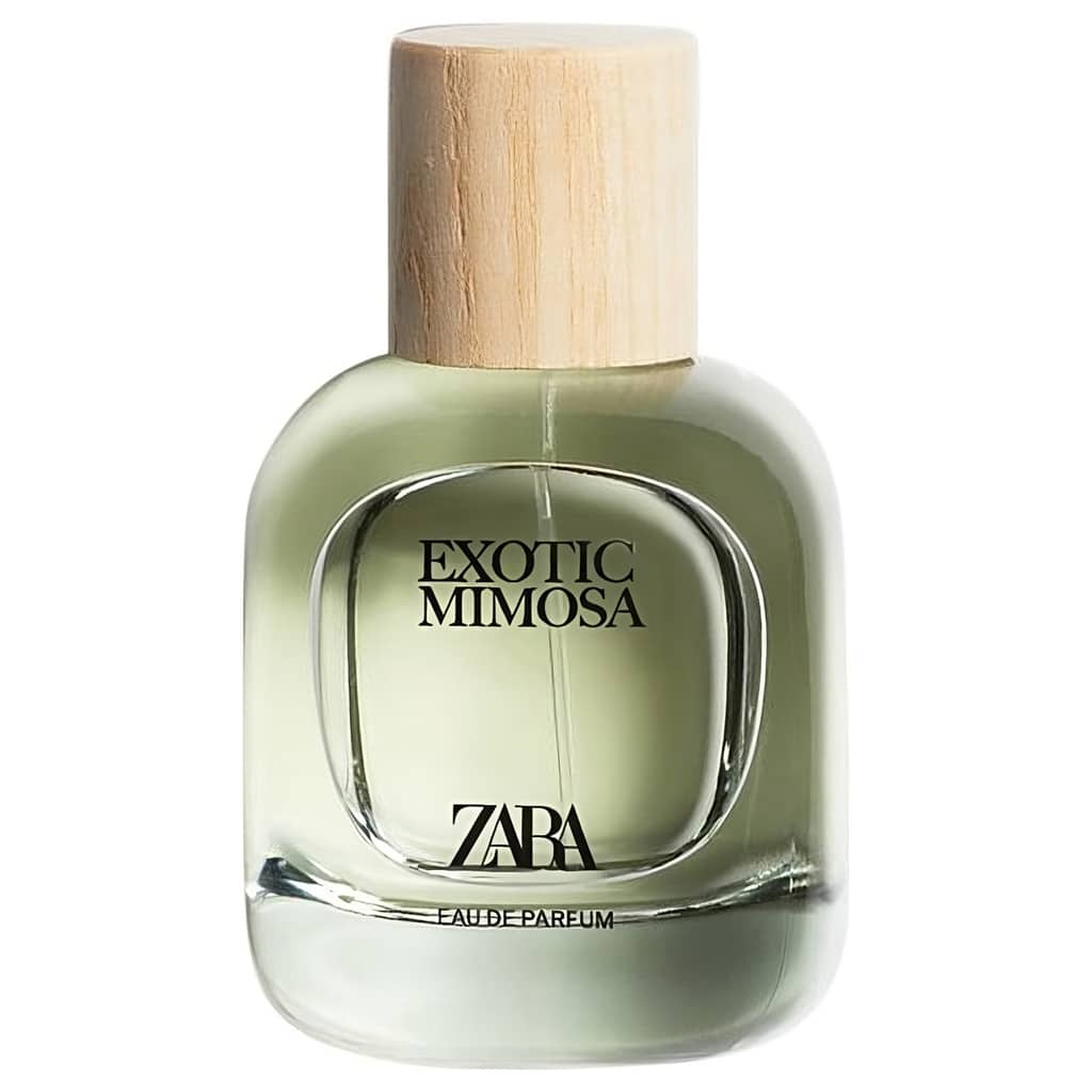 Exotic Mimosa perfume by Zara