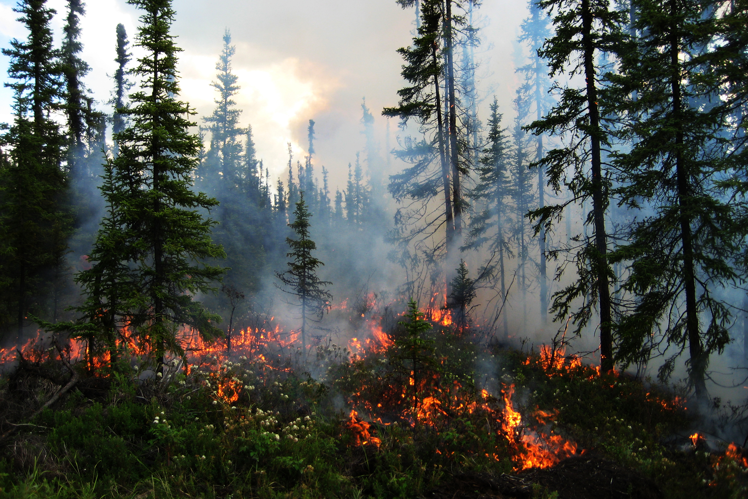 FRDAC Partners Alaska Fire Science Consortium