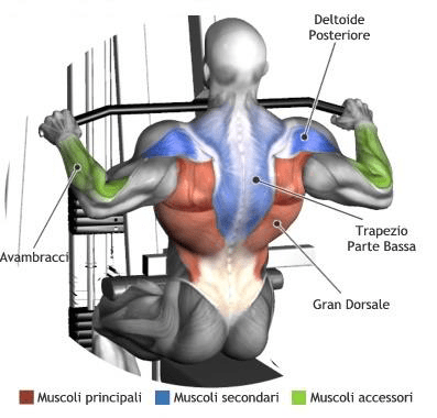 Carrucola Per Riabilitazione Spalla - Attrezzo Per Esercizi E Recupero Post Infortunio - Foto 9