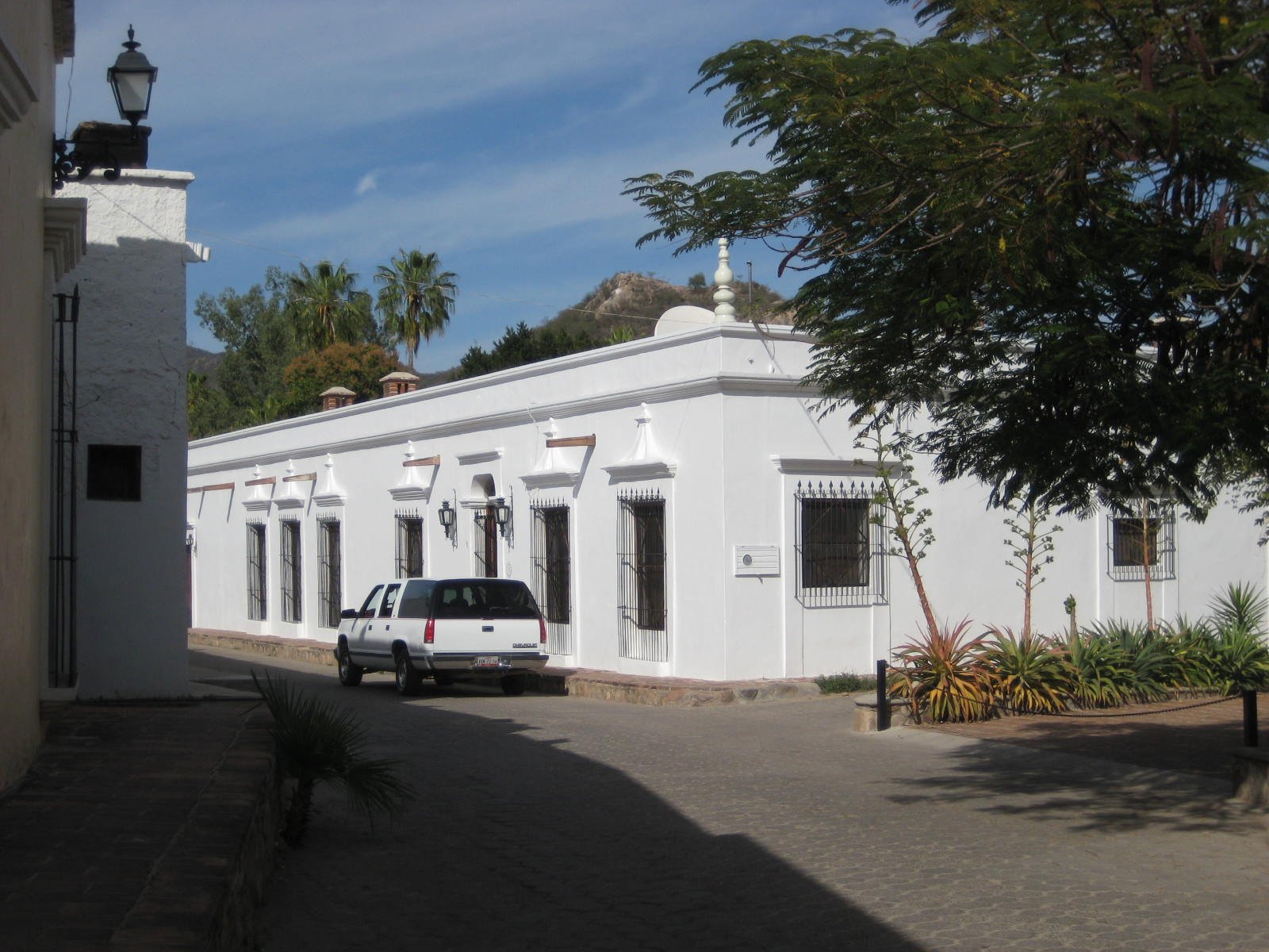 The Beautiful Old Houses of Alamos and a RufousBellied Chachalaca