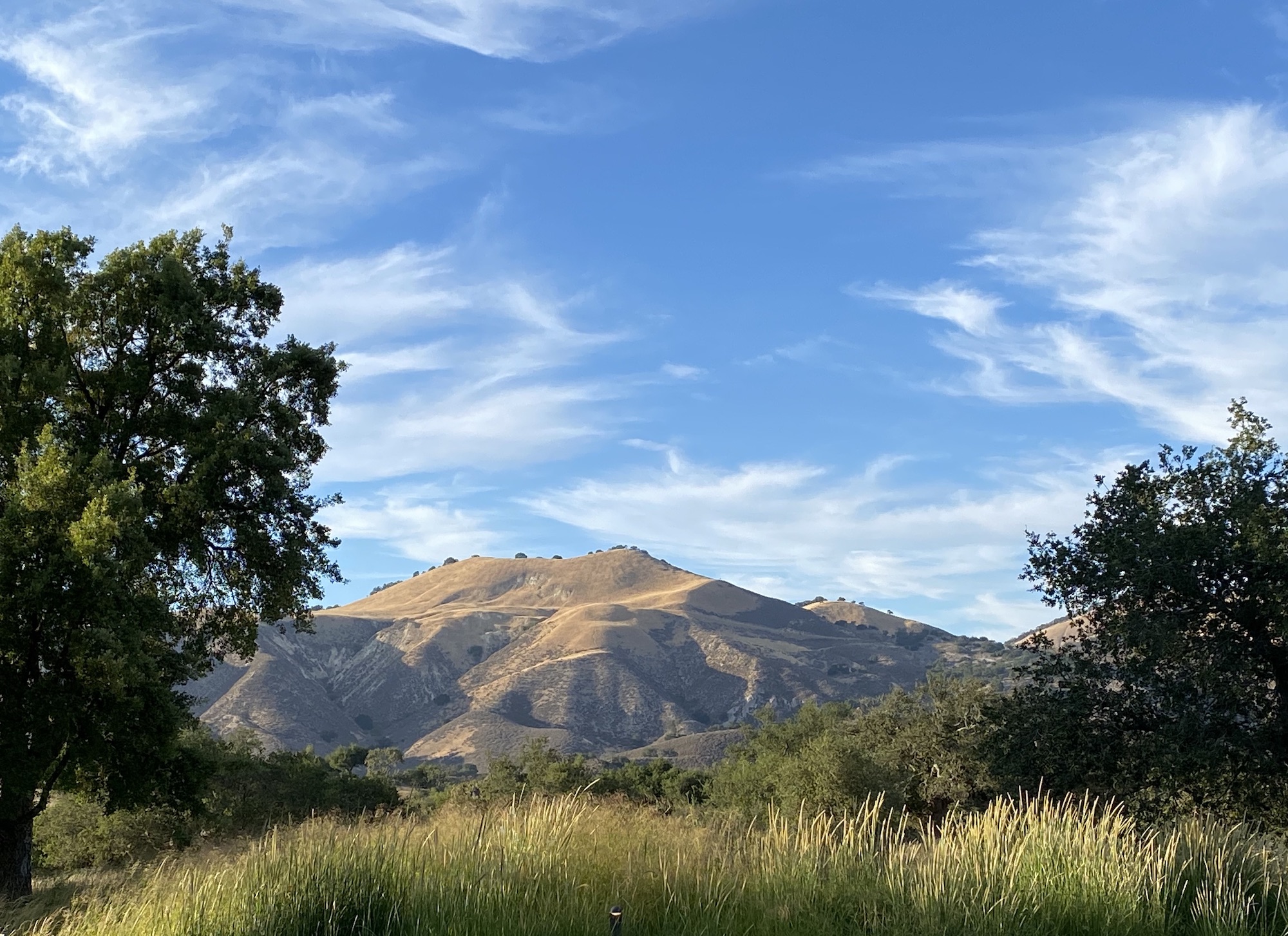 Art of the SoulRetreat at Rancho La Zaca, March 2022 Frances Schultz
