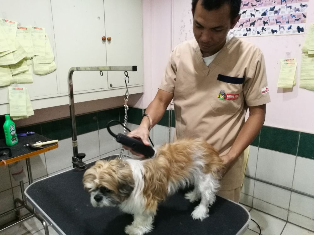Animal House Veterinary Hospital Franchise Market