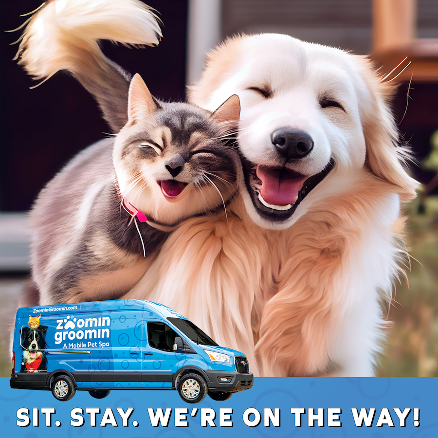 Zoomin Groomin Mobile Pet Grooming Franchise, Mobile Pet Grooming