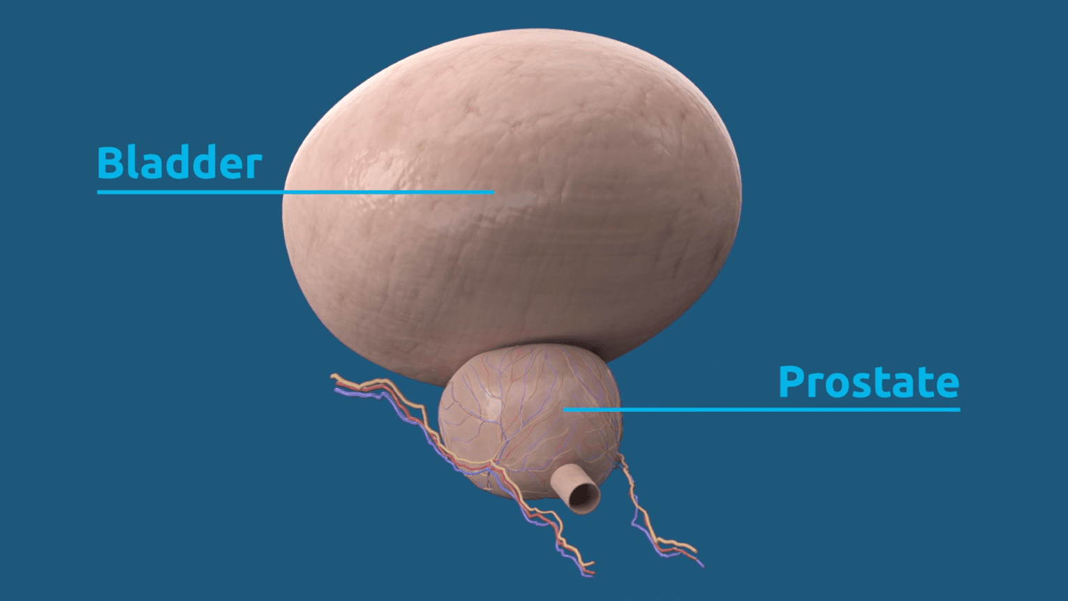How Water Vapor Therapy Works Francis Medical