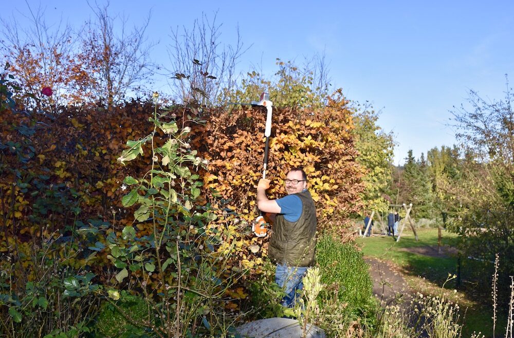 Hecke Hecke schneiden Herbst Stihl HLA 56