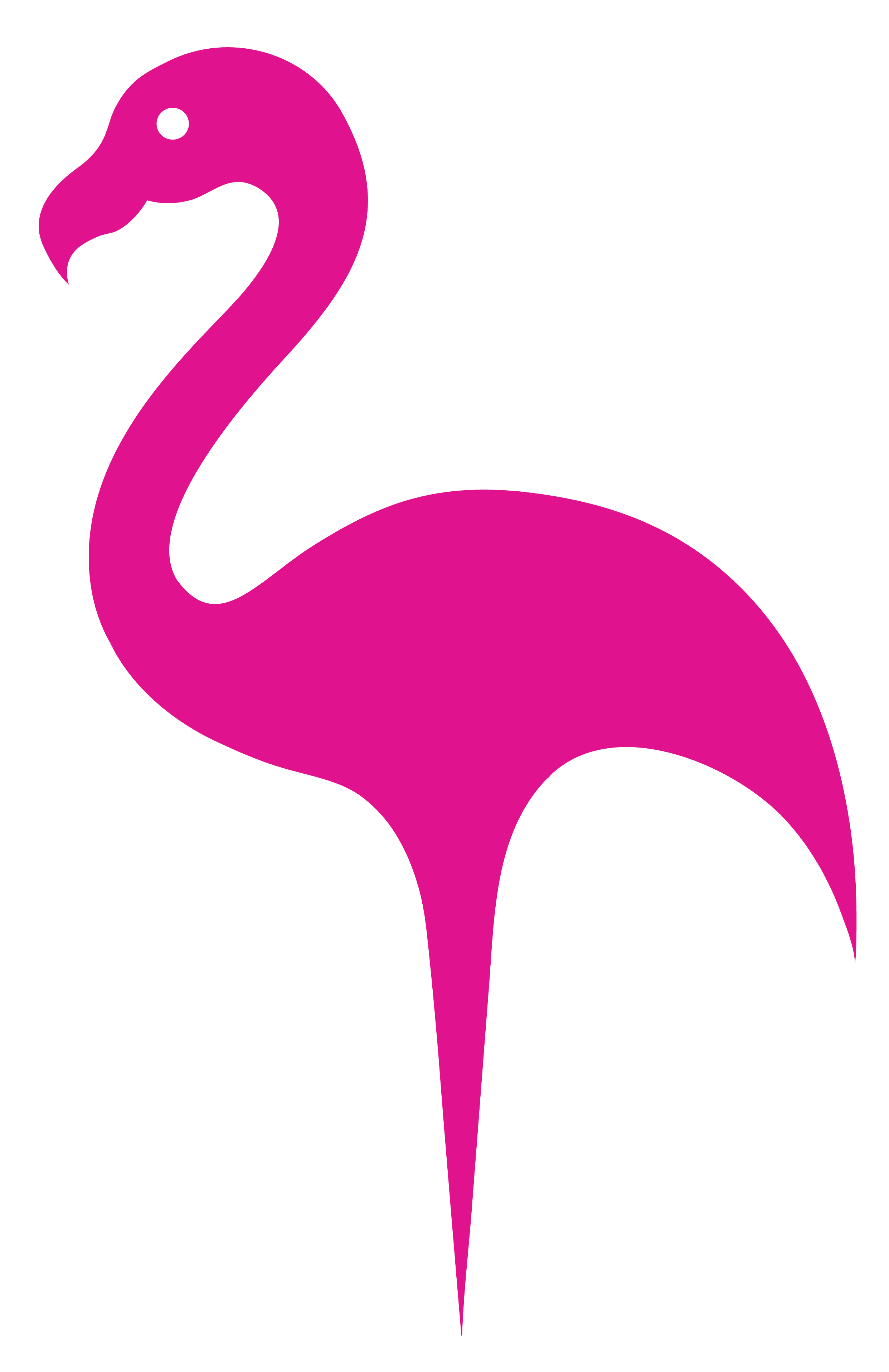 Giving Back Franz Witte