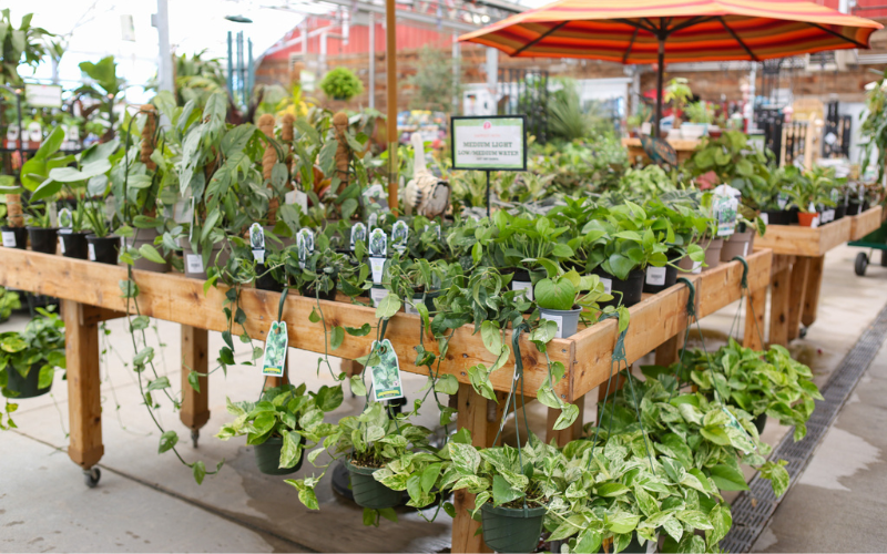 Franz Witte’s Holiday Gift Guide Franz Witte