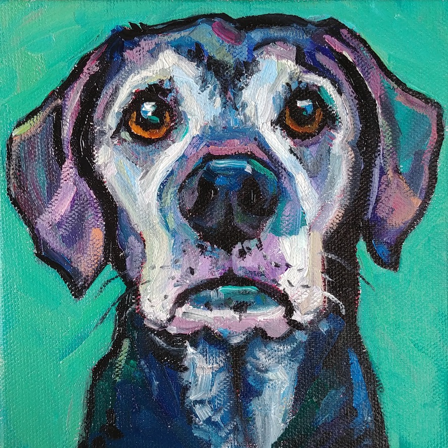 pet portraits Fraser Art Studio