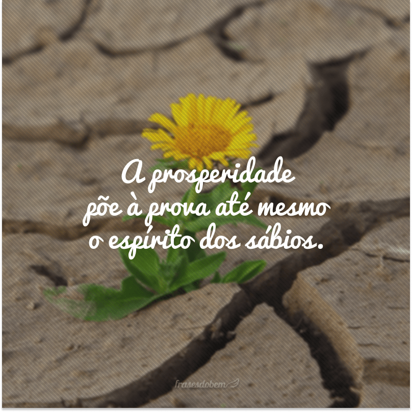 40 frases de prosperidade para te incentivar a conquistar o que deseja