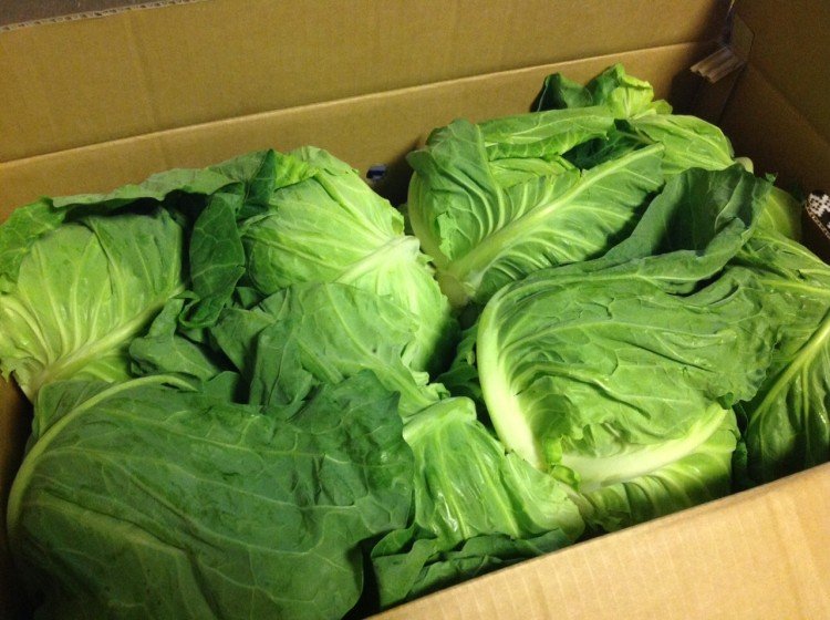 Cabbage vs. Lettuce Which is Healthier? Cabbage Soup Diet