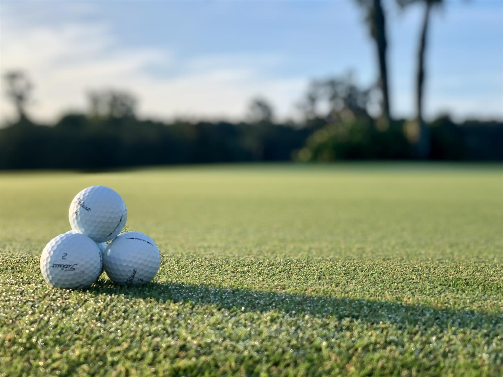 Golf Course Frederica Golf Club