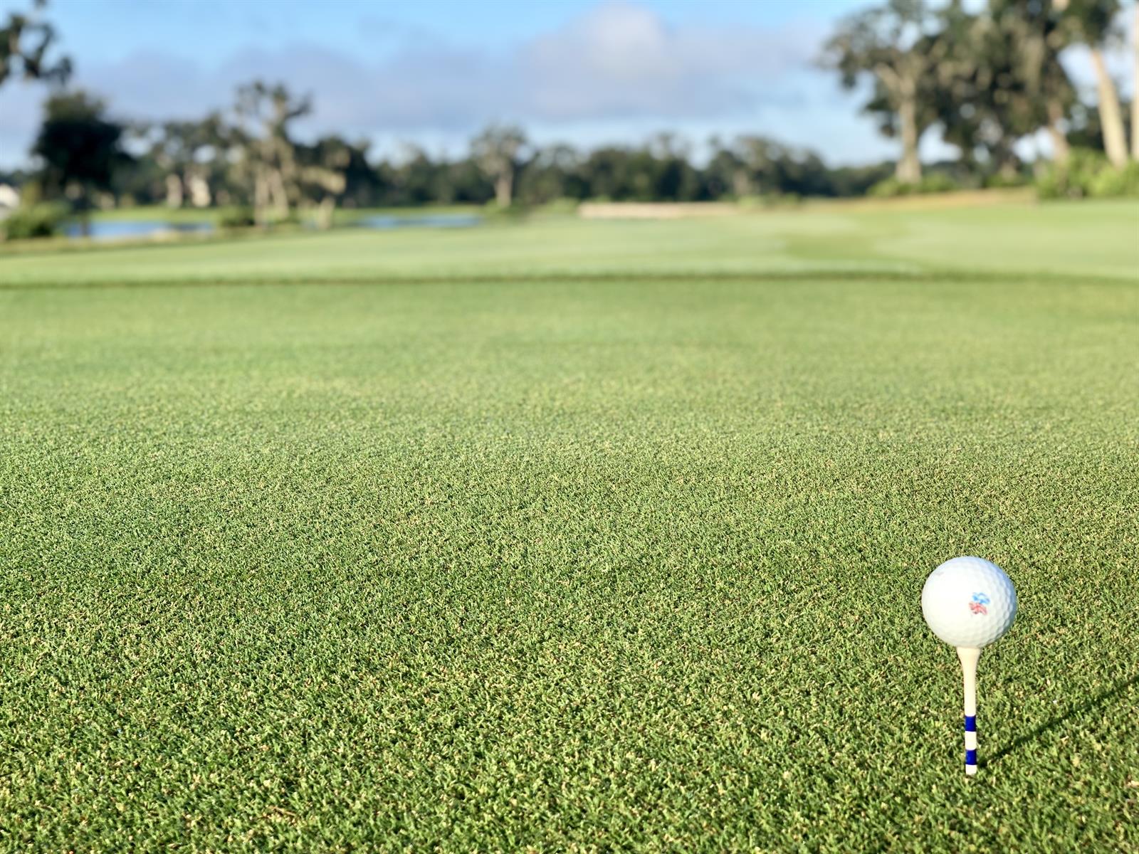 Golf Course Frederica Golf Club