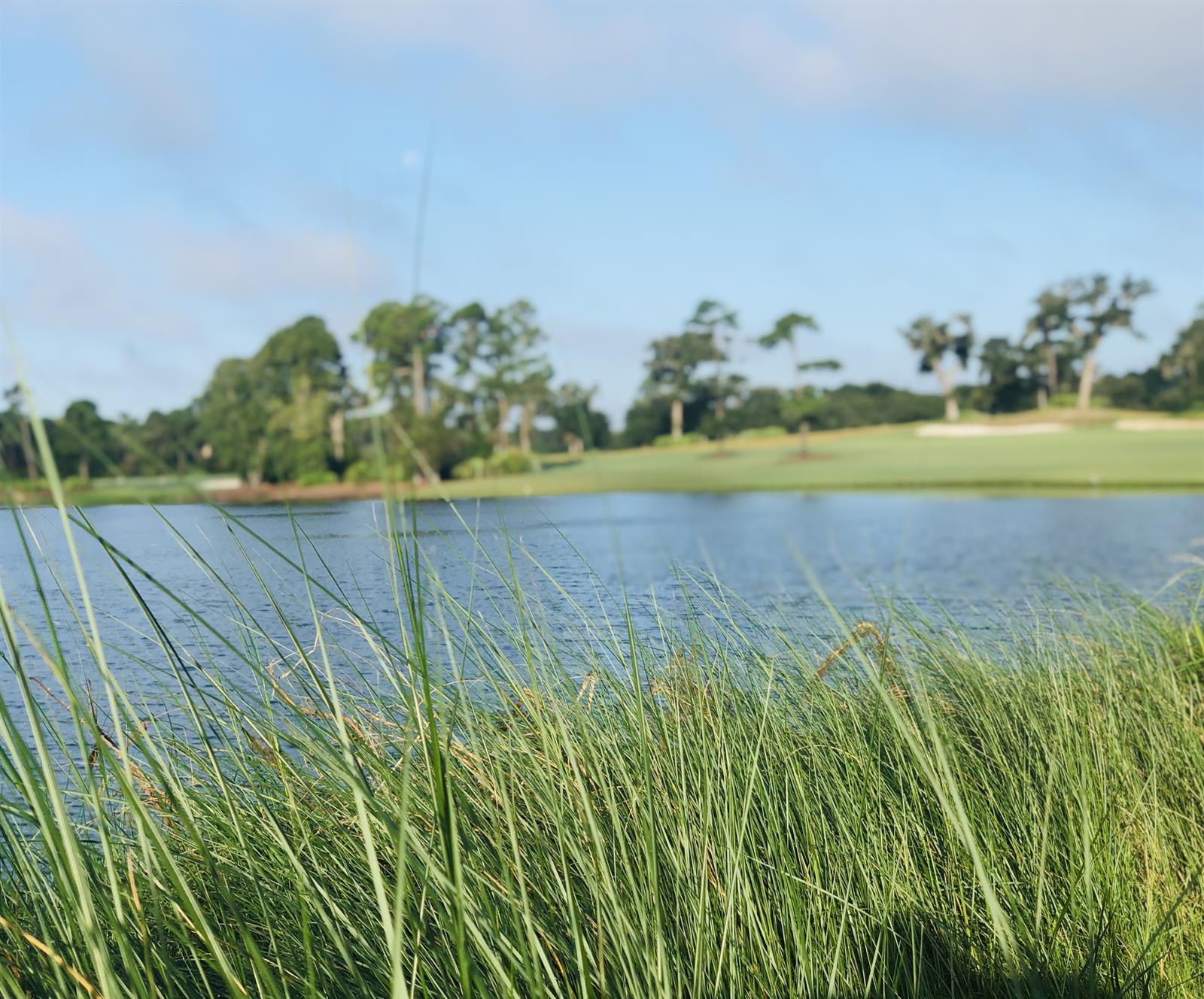 Golf Course Frederica Golf Club