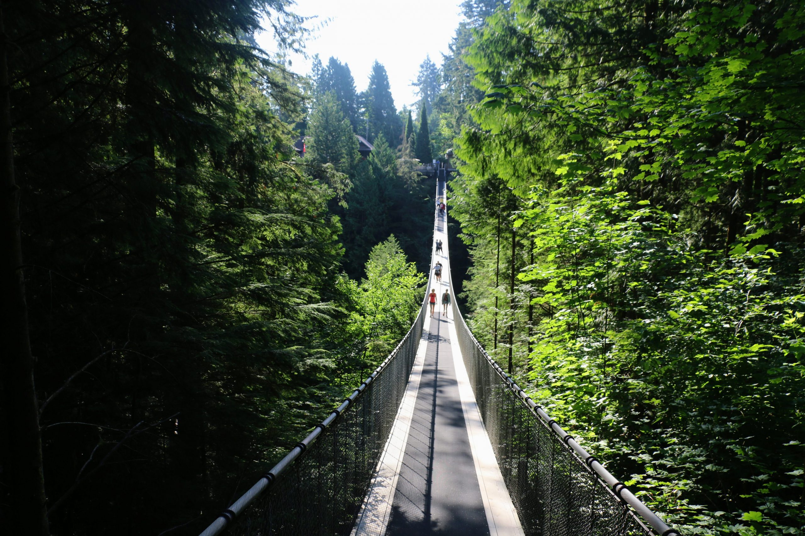 Capilano Suspension Bridge Frederik Maesen