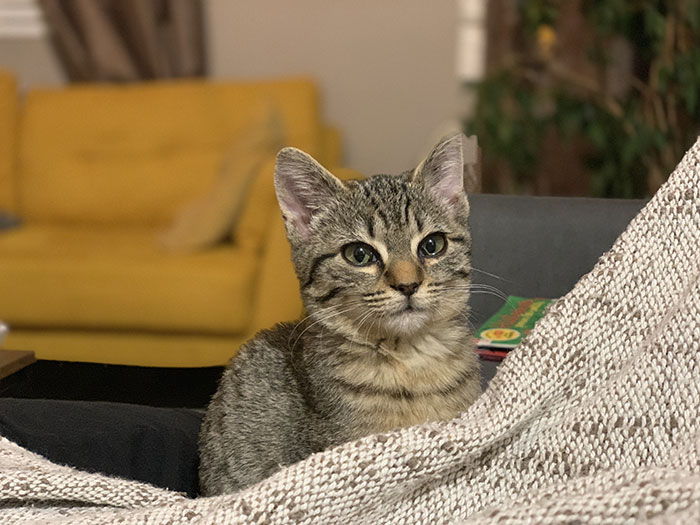 Test de l'iPhone Xs