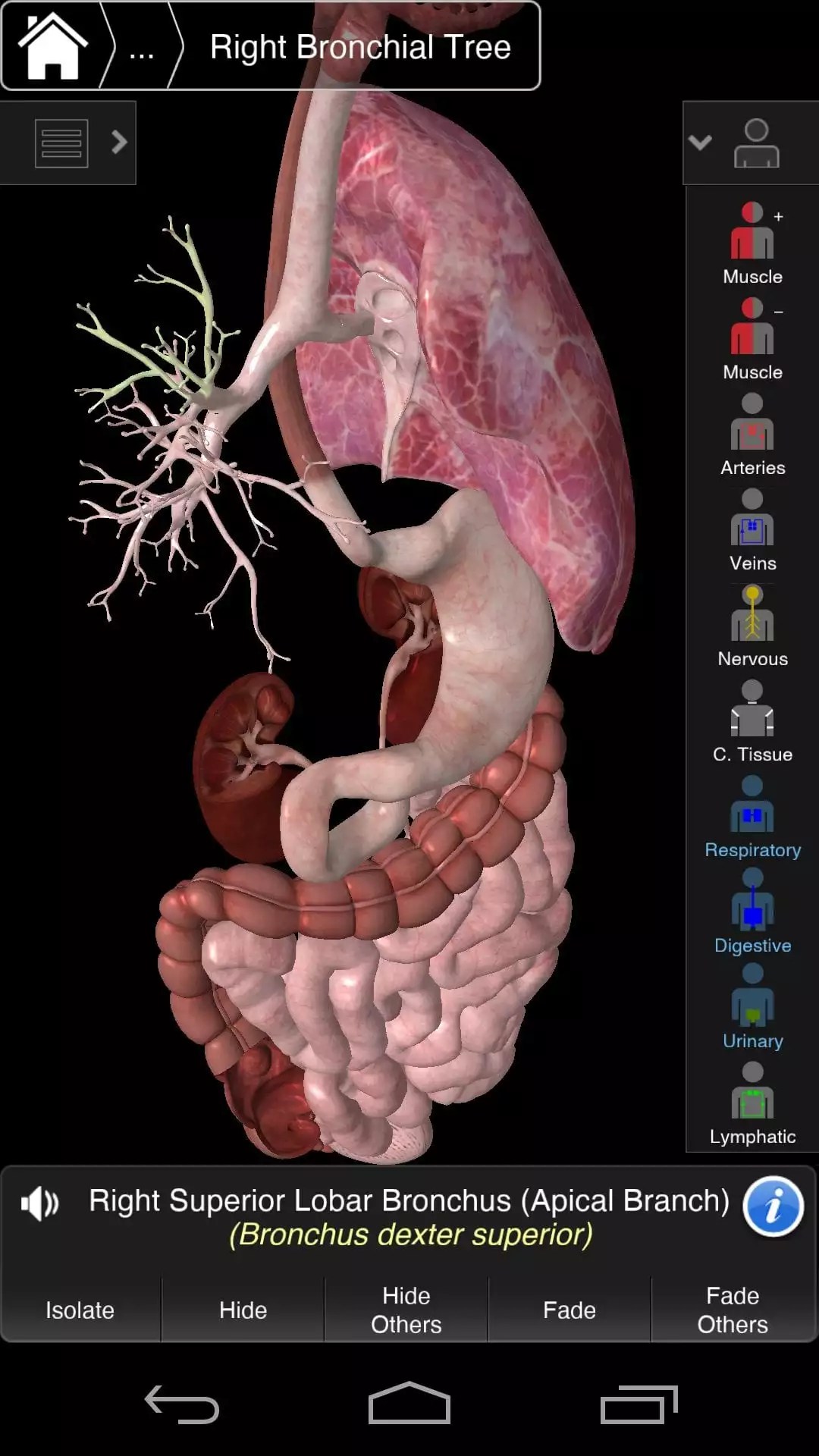 12 Best Anatomy apps for Android & IOS Free apps for