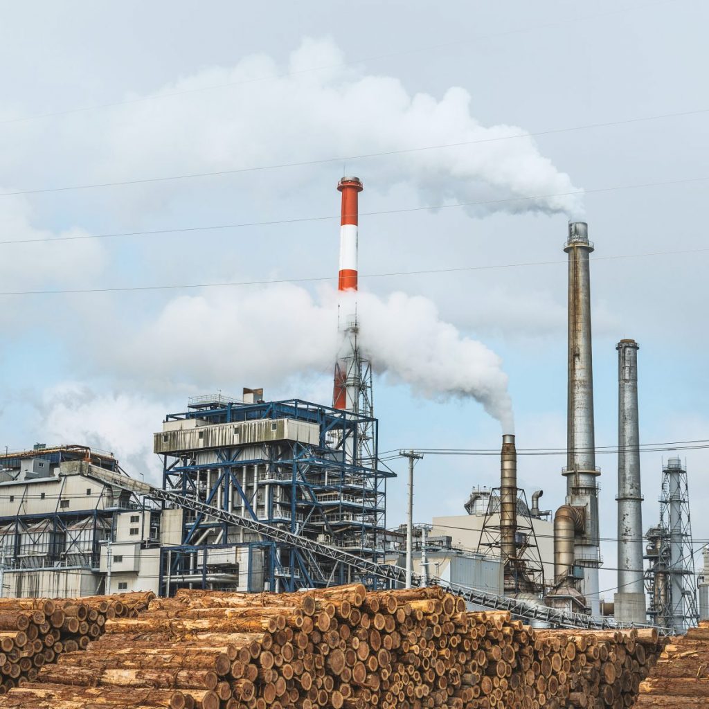 Paper Mills Free Asbestos Testing