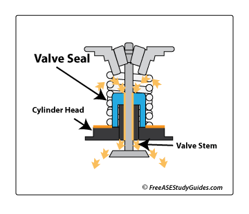 Exhaust Color Diagnosis | White Smoke Blue Black