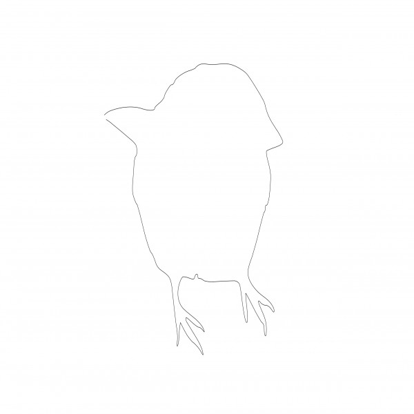 SMALL BIRD FREE CADS