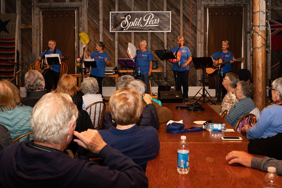 Your Guide to the Unscripted Twillingate Digital Arts Festival Free