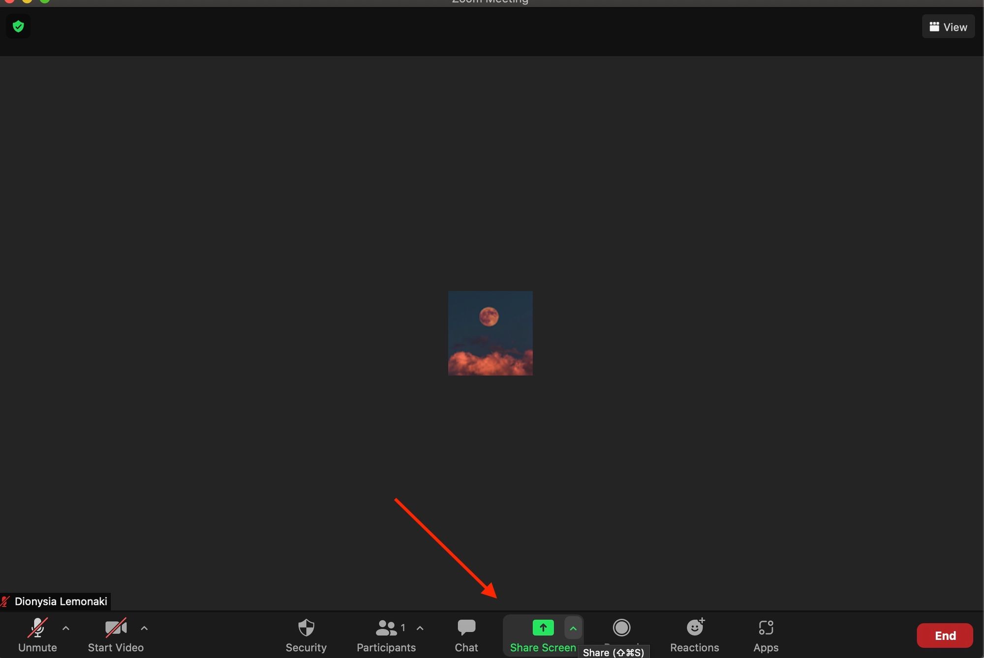 Zoom Screen Sharing How to Share My Screen on Zoom [Solved]